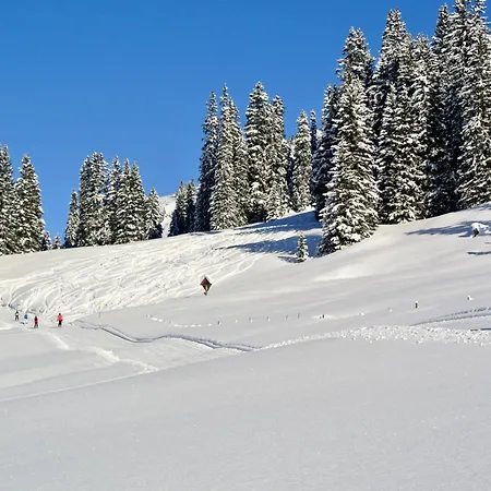 Apartamento Schneekristall *